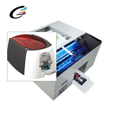 Your Partner in Card Printing Excellence